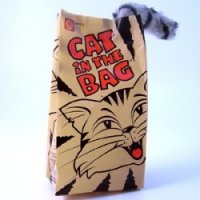 Crazy Cat Bag Fighting Toy
