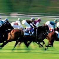 World of Horse Racing Tour Gift Voucher Experience