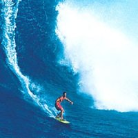 Amazing Surfing Experience Gift Voucher